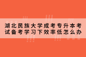 2021年湖北民族大学成考专升本考试备考学习下效率低怎么办