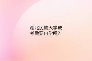 湖北民族大学成考需要自学吗?