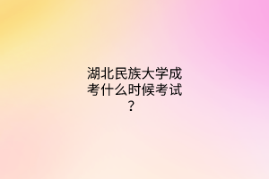 湖北民族大学成考什么时候考试？